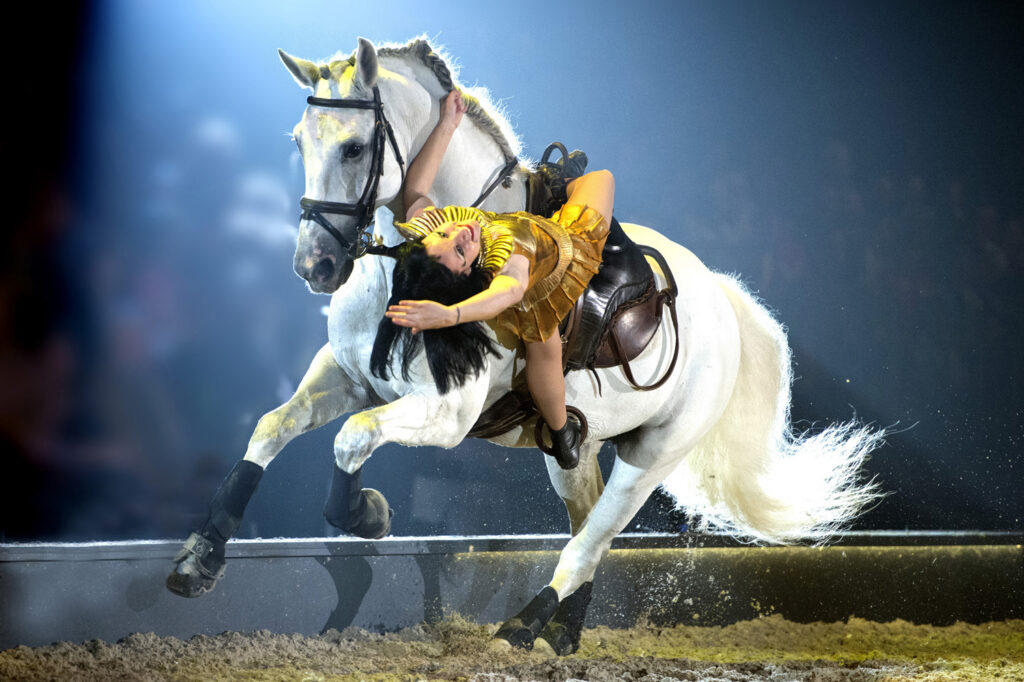 Mensch zeigt Trick auf Pferd
